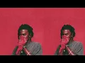 Buffy The Body - Playboi Carti WLR V1