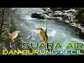 Lagu Gemericik Suara Air Dan Kicau Burung Kecil