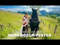 Download Lagu Oana Bozga-Pintea ✗ Voi ardeți ca paiele | Videoclip Oficial