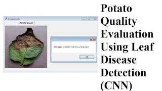 POTATO LEAF DISEASE CLASSIFICATION USING DEEP LEARNING