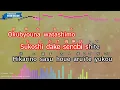 Himawari – Ado (Romaji Karaoke with guide)