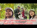 Download Lagu Senengnya kalo musim panas bisa panen buah gratis sepuasnya di Swedia 
