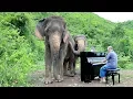 Download Lagu Mayumi Kato “Language of Flowers” for Elephants - Lidia Baich, violin, Paul Barton, piano