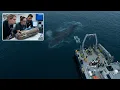 Scientists Finally Identified What Swallowed a Great White Shark Whole - It s Disturbing
