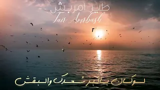 طير امربش غناء الفنان  عمرو ياسين  جديد      دندنها