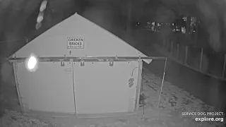 Chicken Coop as day ends SDP 1130pm 982021