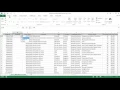 Microsoft Excel 2016 - Using the REPLACE Function