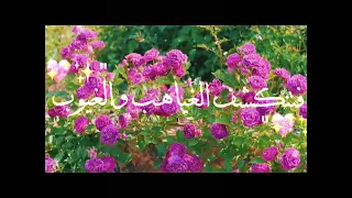 اناشيد دينية بذكر الله ترتاح القلوب ستوريات انستا 