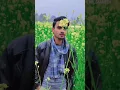 Download Lagu tujhe dhkha to ye Jana sanam #attitude #dj #music #remix #shorts #shortvideo #viral #viralvideo