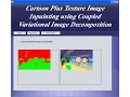 Cartoon Plus Texture Image Inpainting using Coupled Variational Image Decomposition Java Project