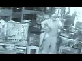 Thief steals 20 expensive reptiles from exotic pet shop in Livonia
