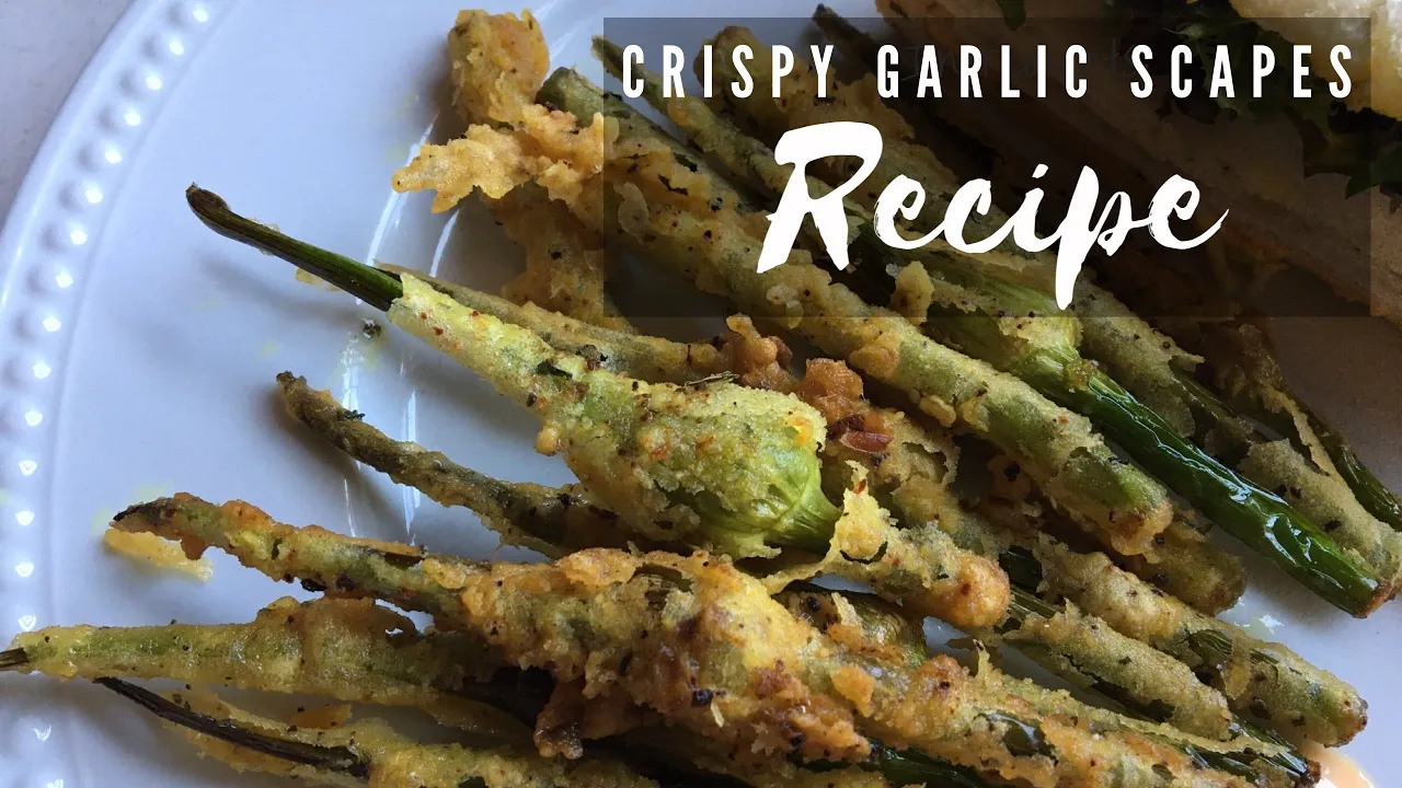 Crispy Garlic Scape Recipe and Garlic Scape Harvest