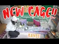 Guinea Pig Cage Set Up Review KAVEE CAGES