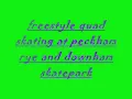 FREESTLE QUAD SKATING ( SKATE VIDEO 1 ) [ @makona12 ]