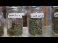 Part 2 Highweed 395 co-owner shares his past with cannabis