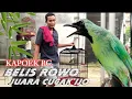 Download Lagu JUARA 1 Cucak Ijo BELIS ROWO (Bagundez)