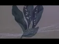 Snoh Aalegra - Sweet Tea |[ Pop Soul ]| 2023
