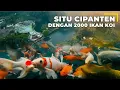 Lagu KABAR 2000 IKAN KOI DARI HARTONO SOEKWANTO..!!