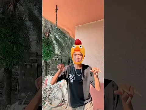 Moments You Can't Miss Pure Vibes OnlyWatch Till the End!