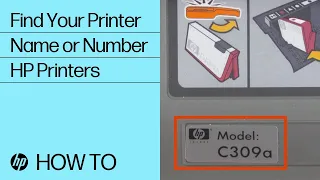 Find Your Printer Name or Number HP Printers HP Support