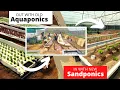 Lagu Sandponics   Part 1:   Out with the Old Aquaponics and in with the New Sandponics : 2021