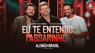 Alemão do Forró e Vh & Alexandre - EU TE ENTENDO PASSARINHO | Alemão do Brasil