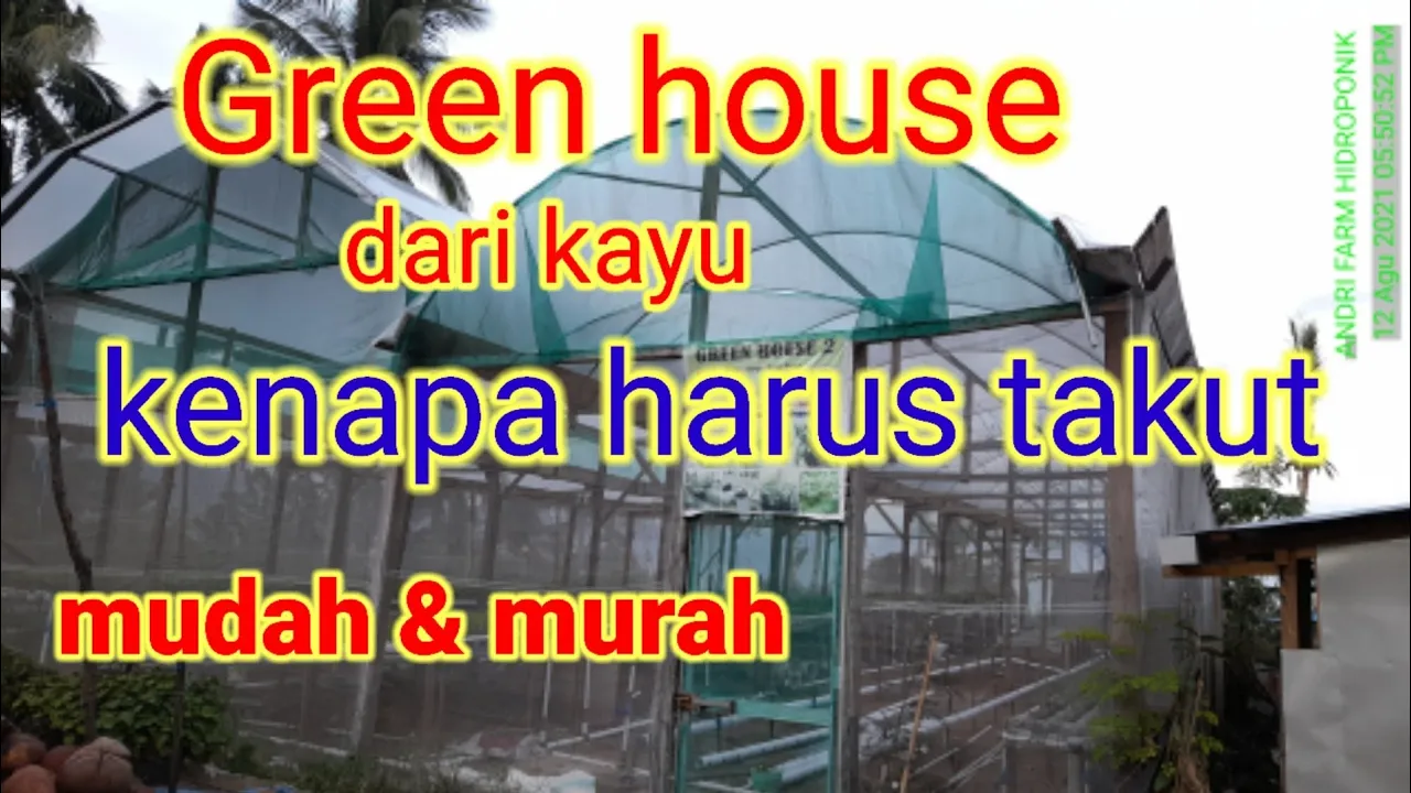 penampakan Green house dari bahan kayu #andri_farm penampakan Green house dari bahan kayu #andri_farm