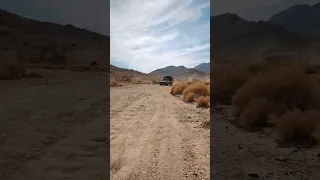 عز يامال العز 