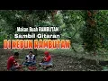 Download Lagu Syahdunya, MAKAN BUAH RAMBUTAN SAMBIL GITARAN DI BAWAH POHON RAMBUTAN