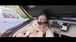 Liu Yifei s Vlog Update The new year will surely bring beautiful views and good vibes along the way