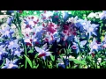 Anime Mix「ＡＭＶ 」 - Bullet for my Valentine - Tears Don't Fall [MEP]