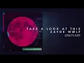 Download Lagu ZAYDE WOLF - TAKE A LOOK AT THIS (Official Audio)