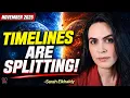 The Timeline Split Is Happening NOW The Alchemist Explains What It Means Sarah Elkhaldy