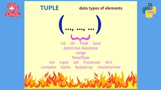Python TUPLE items with different data types