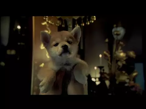 HACHIKO - Trailer Español HD