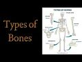 Types Classification of Bones