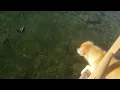 Sundance RV Resort Earp CA - Fishing on the Colorado River
