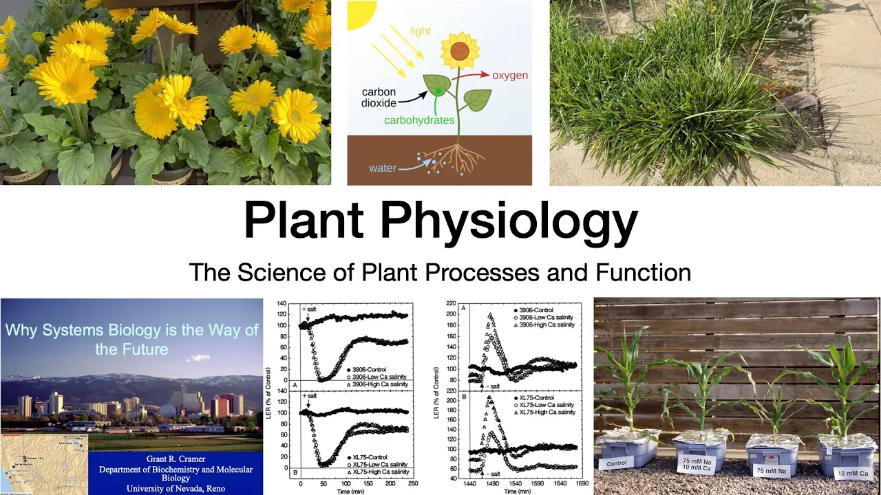 Plant Physiology: L1: Introduction