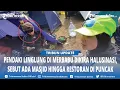 Download Lagu Viral Pendaki Gunung Merbabu Linglung di Pos 3 Via Selo Boyolali, Sempat Ngaku Beli Jajan di Sabana