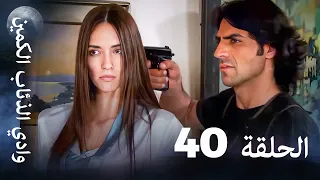 وادي الذئاب الكمين الحلقة 40 بجودة عالية الدقة 