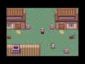 Pokemon RUBY C - WIP DNS