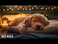 Download Lagu 12 Hours Calming Dog Music🎵Relaxing Music to Relieve Dog Stress🐶Dog Sleep Music💖Dog Calming Music TV