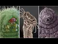 Astonishing Electron Microscope Images