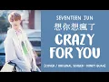 Download Lagu [LYRICS/가사] SEVENTEEN (세븐틴) JUN - 想你想瘋了 (Crazy For You) [COVER]