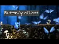 What is Butterfly effect Edward Norton Lorenz