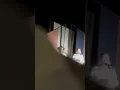 Show AVUA - Bentivi (ao vivo)