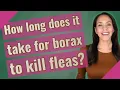 How long does it take for borax to kill fleas