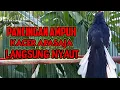 Download Lagu PANCINGAN KACER GACOR PAGI BIKIN BUKOR MEMANCING KACER APASAJA AGAR LEKAS NYAUT IKUT BUNYI GACOR MP3
