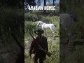 Lagu RDR2 Rare White Arabian Horses Location