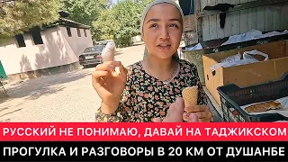 "РУССКИЙ НЕ ПОНИМАЮ, ГОВОРИ НА ТАДЖИКСКОМ". ИНТЕРЕСНАЯ ПРОГУЛКА В 20 КМ ОТ ДУШАНБЕ.